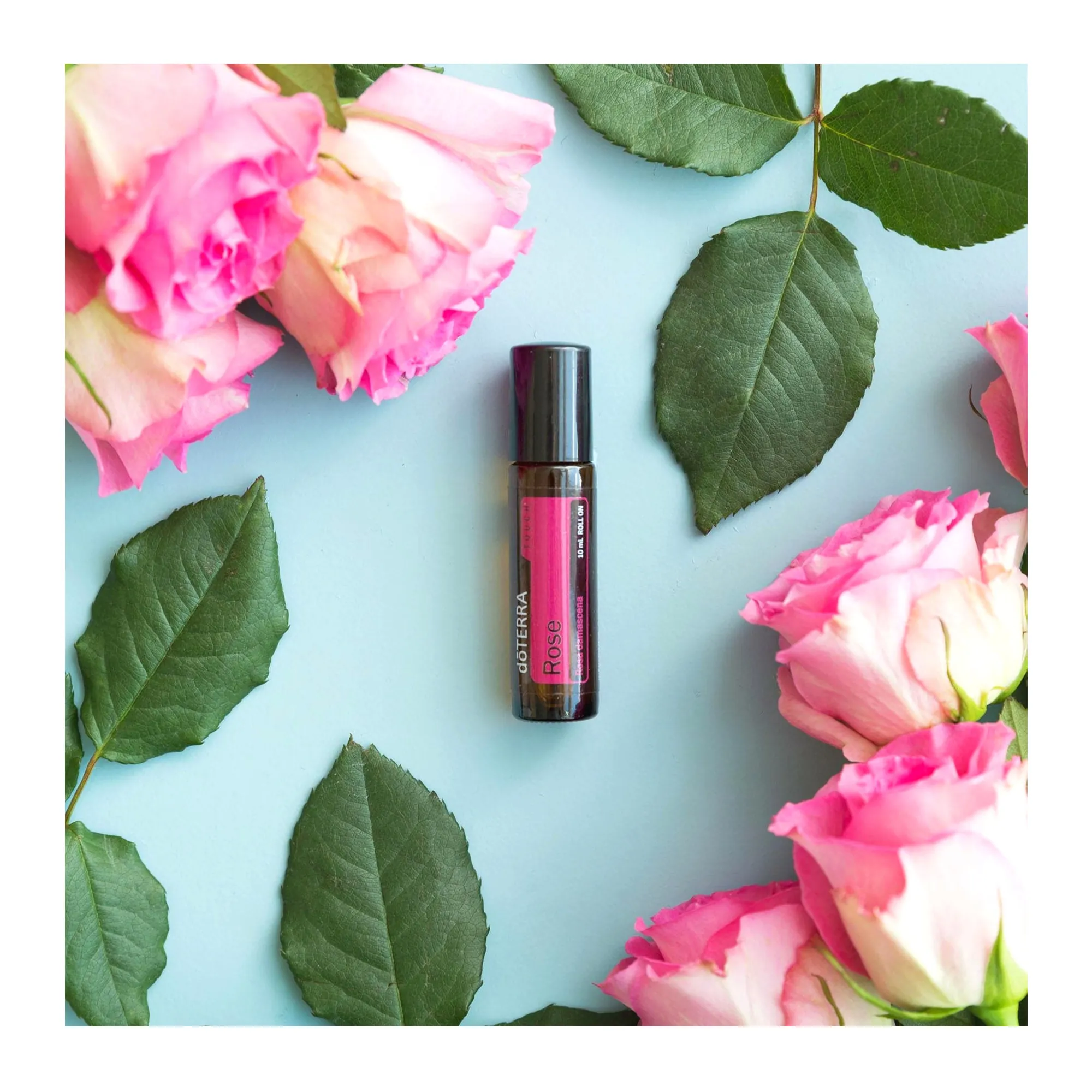 doTERRA Rose Touch Blend Oil - эфирное масло роза в формате