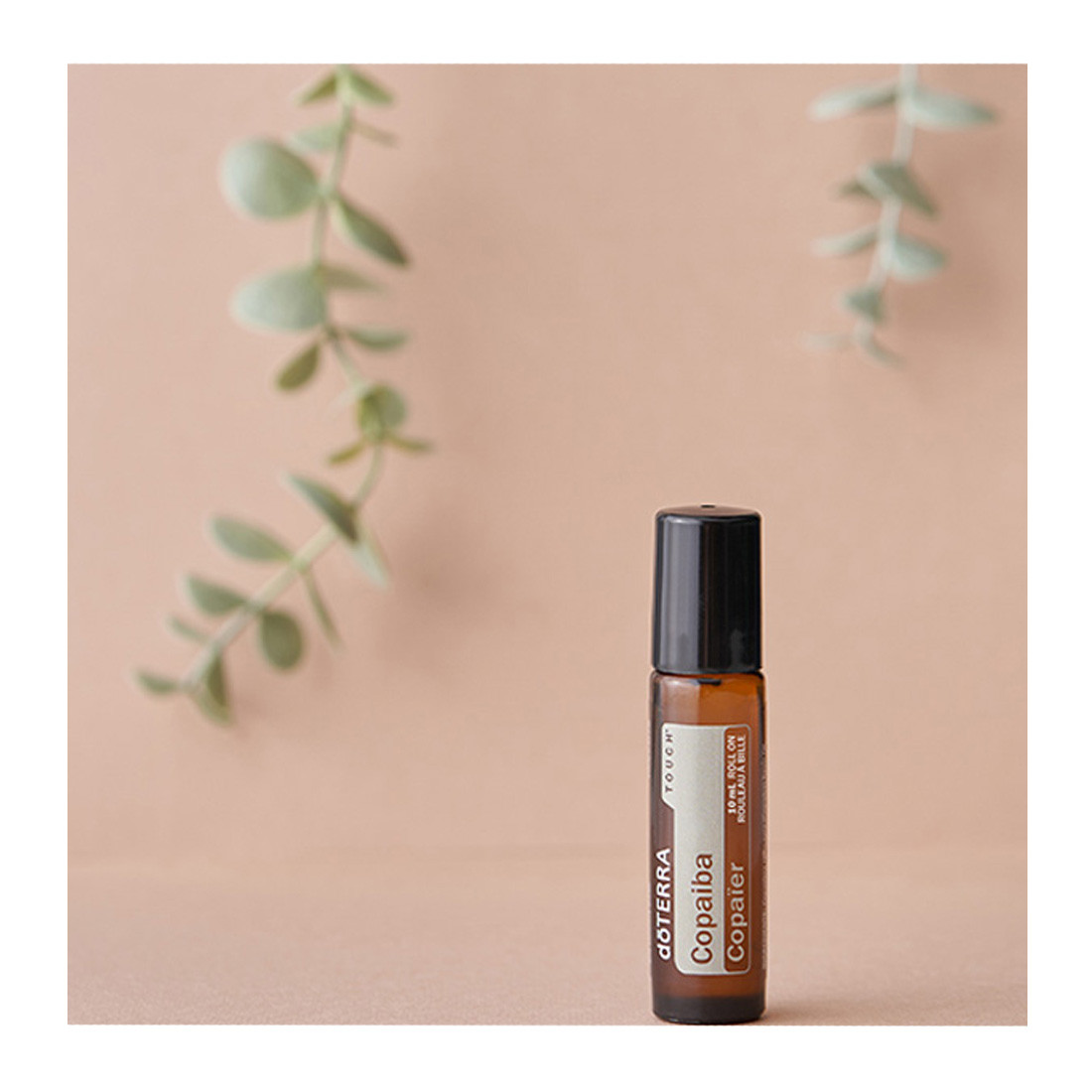 Копайба роллер DoTERRA Copaiba Touch