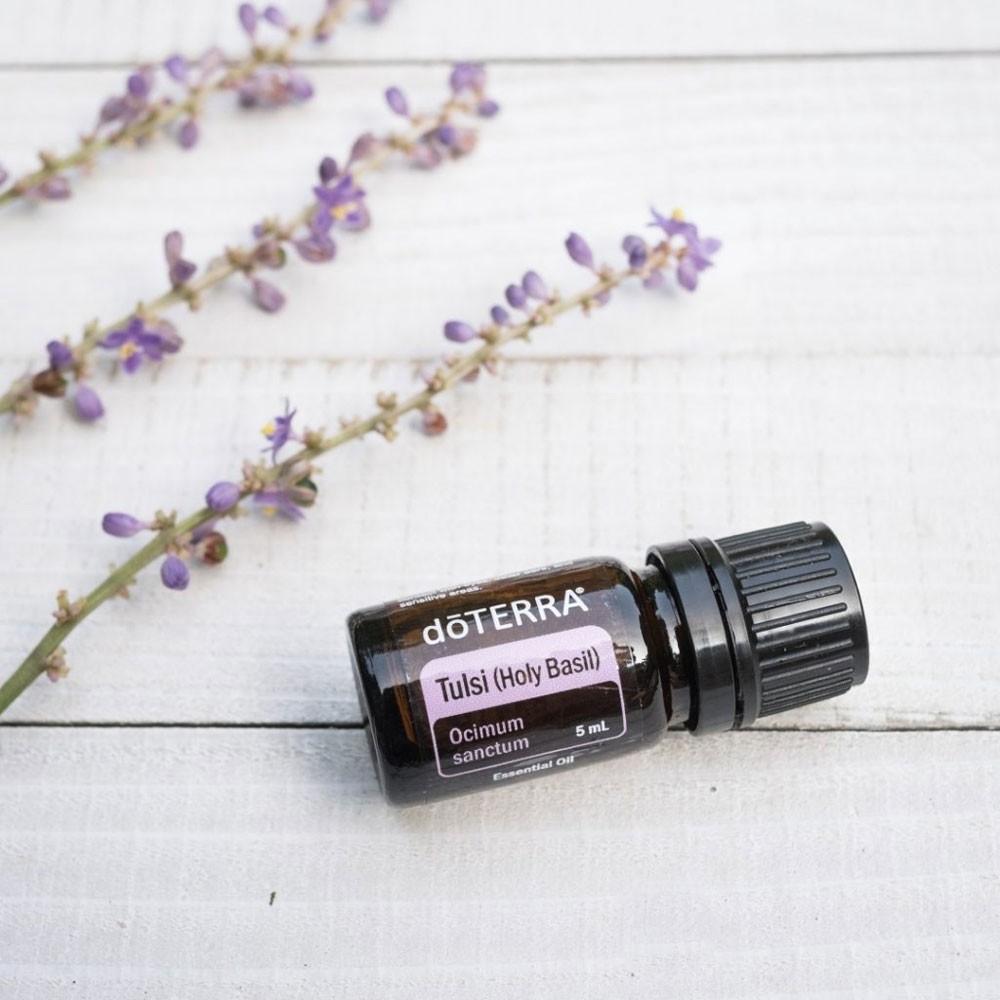 Тулсі (священний базилік) DoTERRA Tulsi Holy Basil