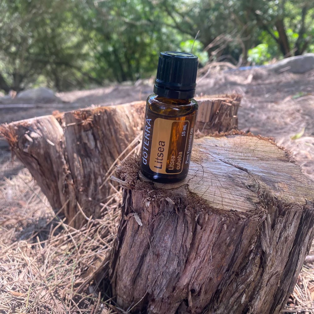 Эфирное масло Литсея  DoTERRA DoTERRA Litsea