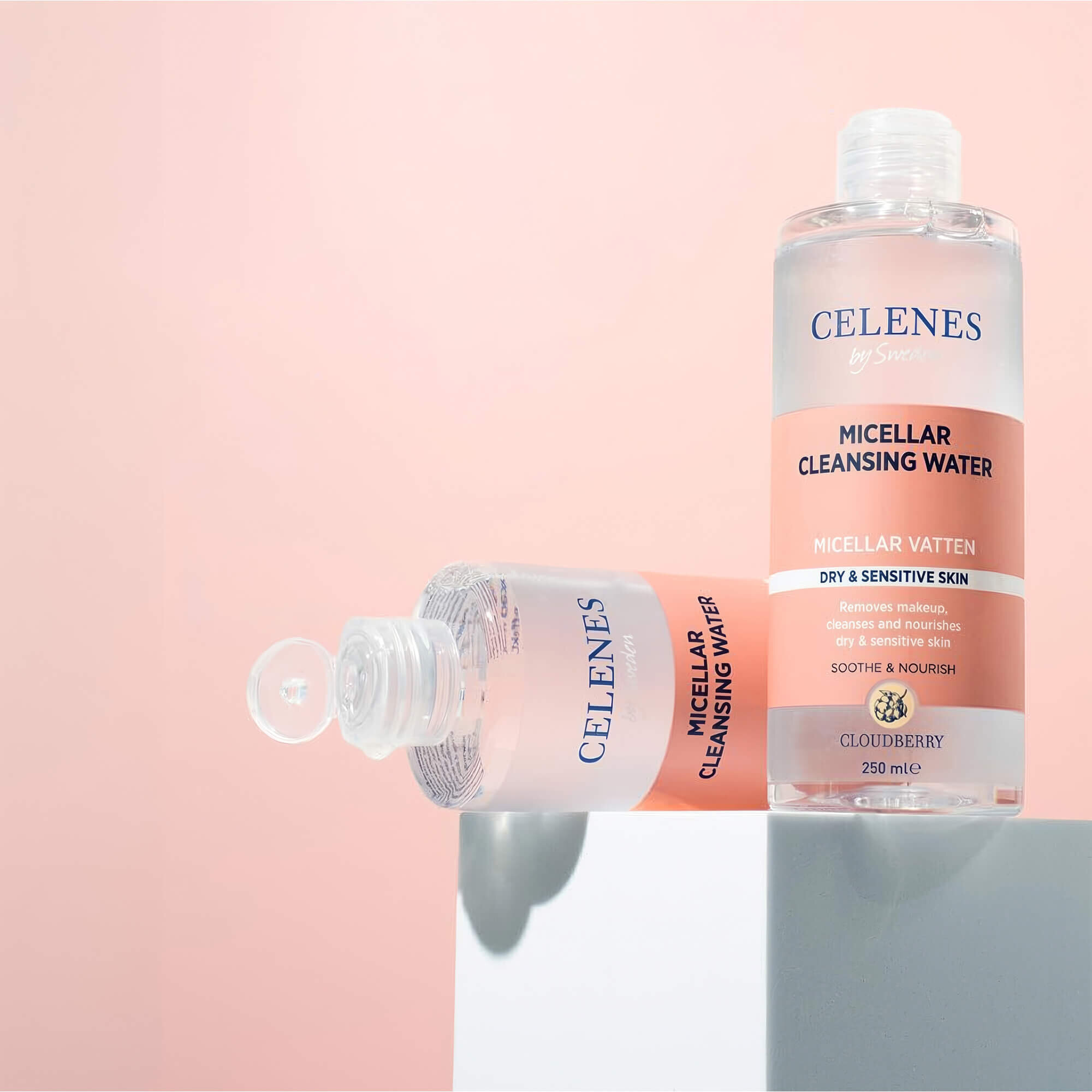 celenes cloudberry заказать
