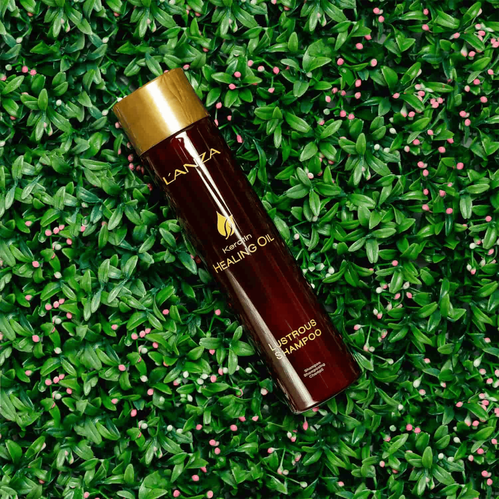 Шампунь для сияния волос L’anza Keratin Healing Oil Lustrous Shampoo