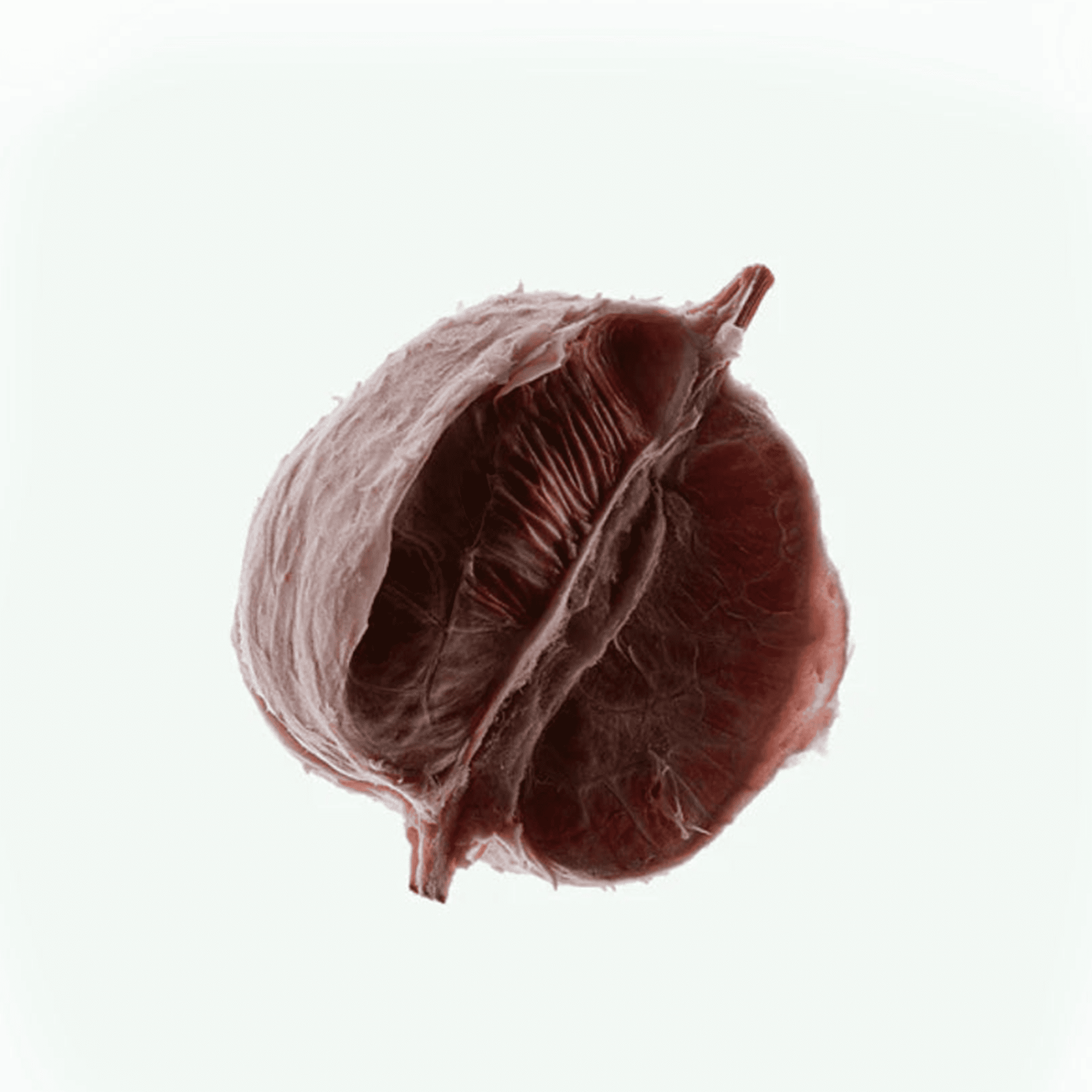 Дезодорант-спрей Corpus Deodorant Spray 