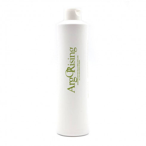Фитоэссенциальный шампунь для сухих волос ArgOrising Shampoo