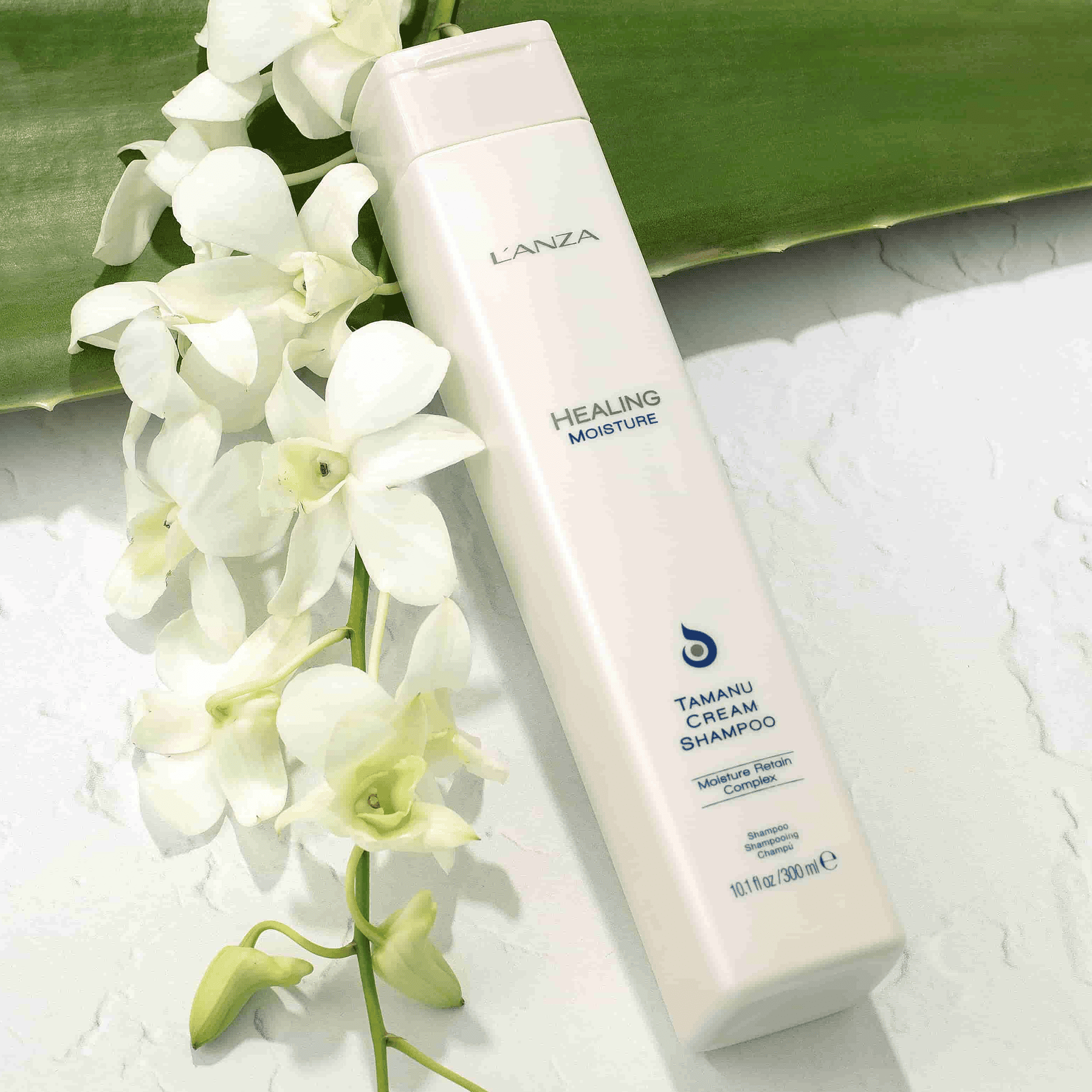 Відновлювальний крем-шампунь з олією L’anza Healing Moisture Tamanu Cream Shampoo