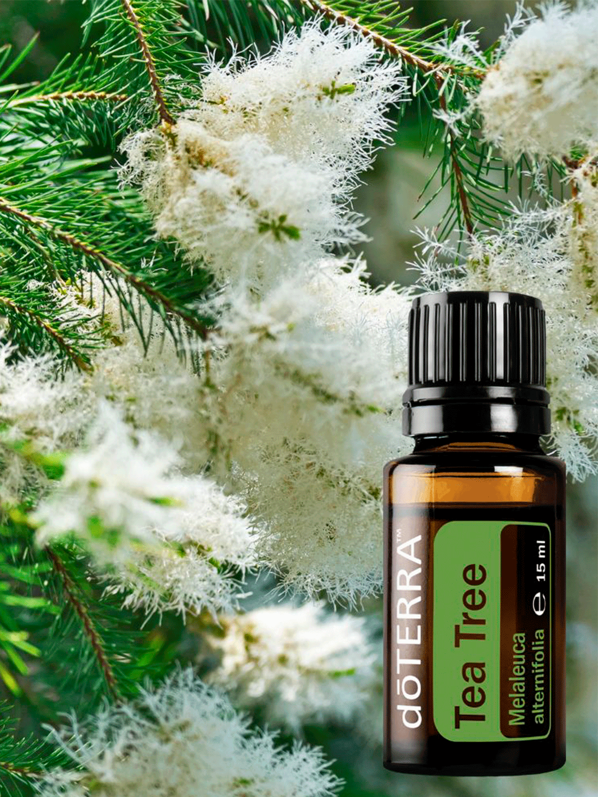 Набор doTERRA Air Purification Kit