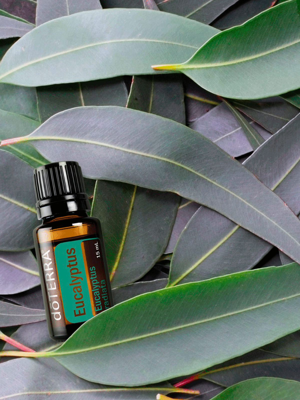 Набор doTERRA Refreshing Purity Kit
