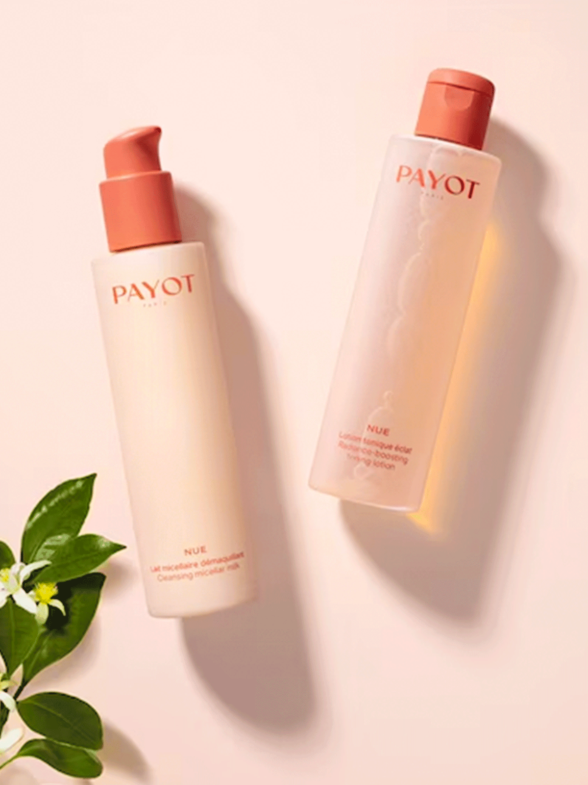  Payot 