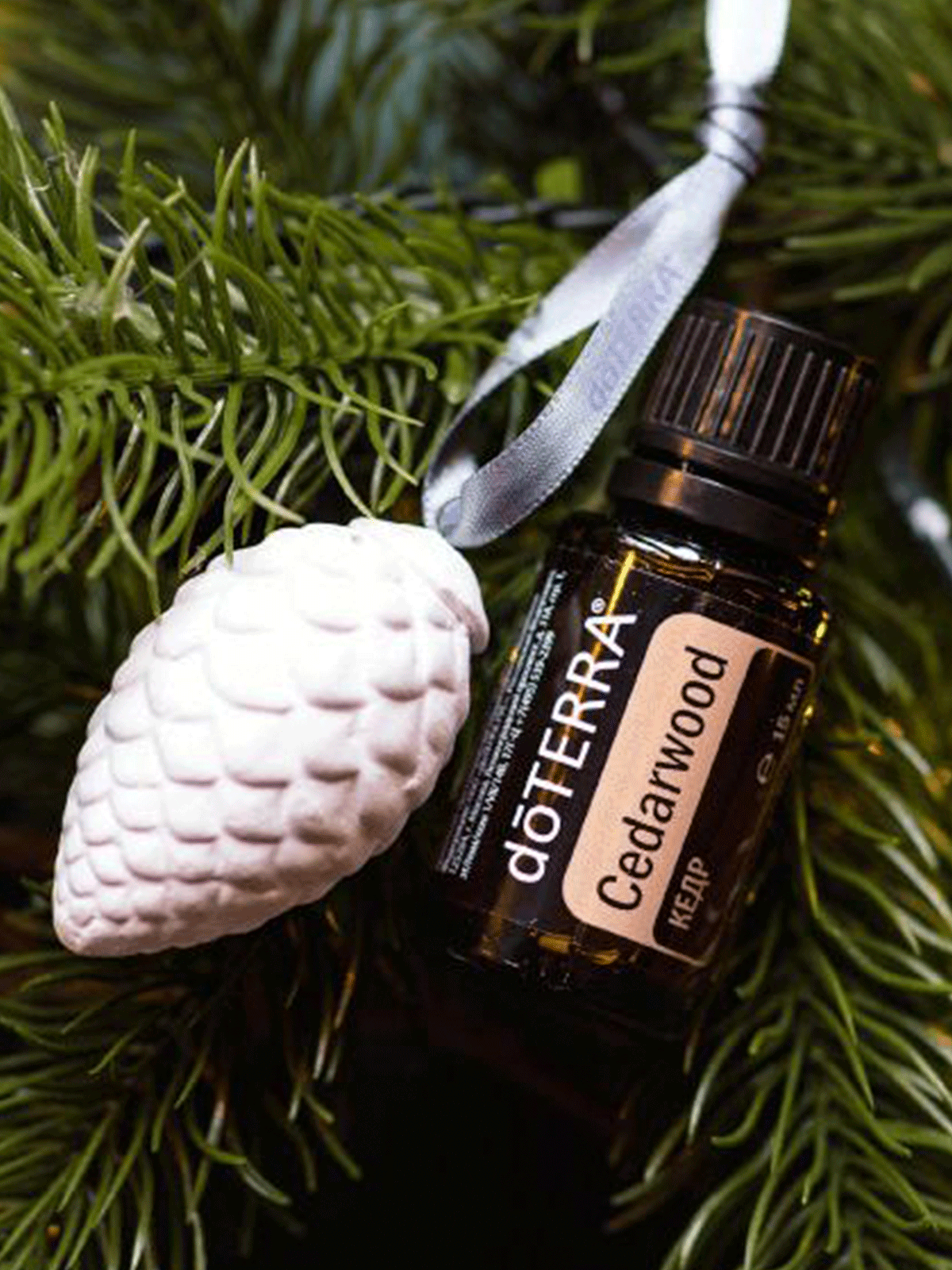 Набор doTERRA №20 Kit