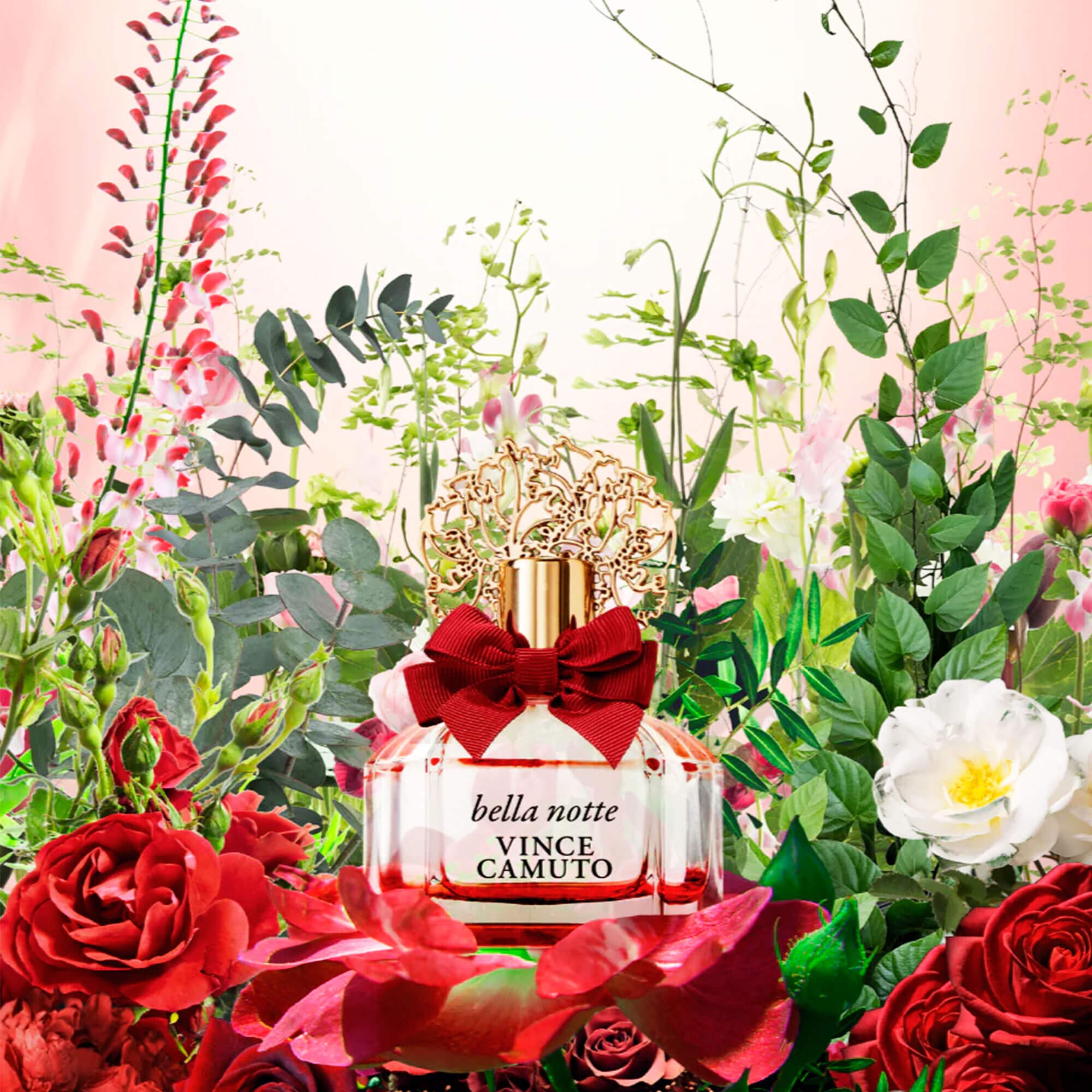 Парфумована вода для жінок Vince Camuto Bella Notte
