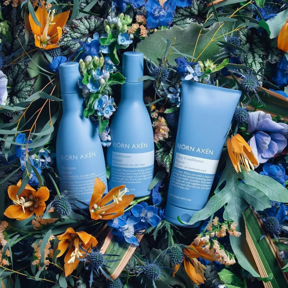Bjorn Axen Deep Conditioning Repair Hair Mask украина