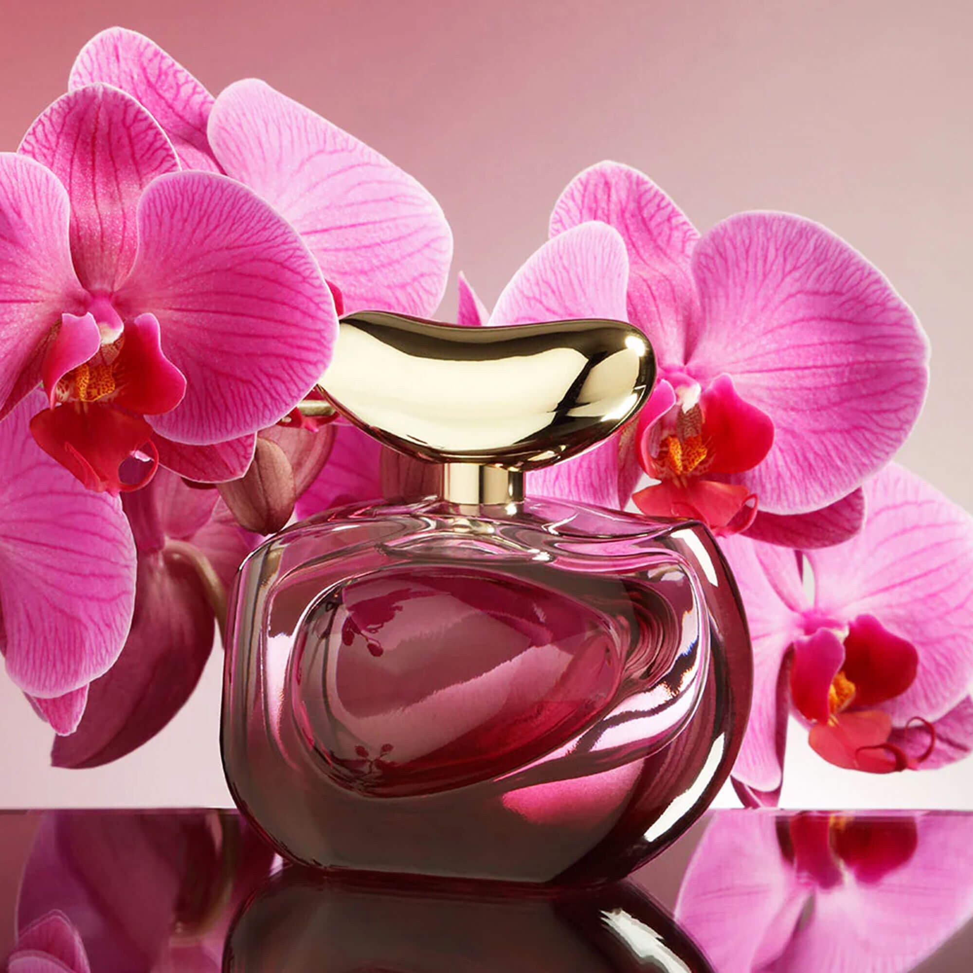 Парфумерна вода для жінок Vince Camuto Illuminare intensa