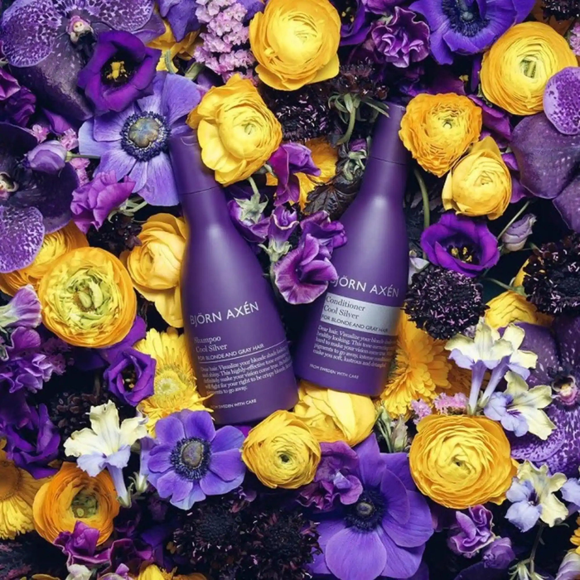 Шампунь для нейтрализации желтизны Bjorn Axen Cool Silver Shampoo