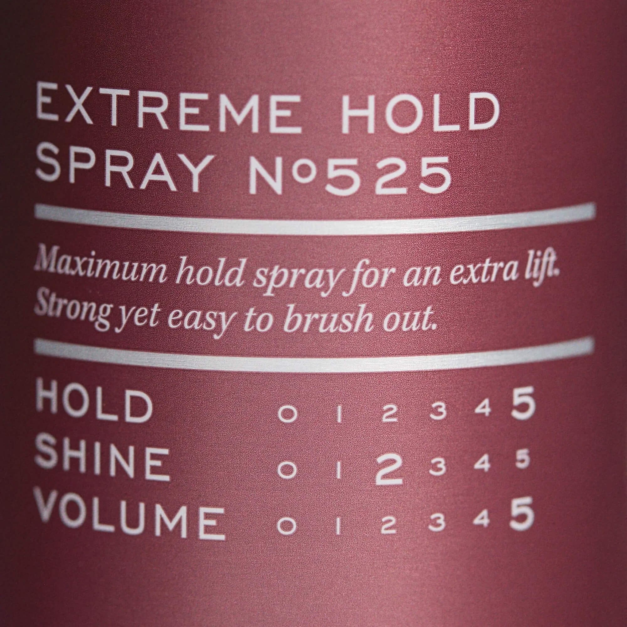 REF Extreme Hold Spray N°525 Киев