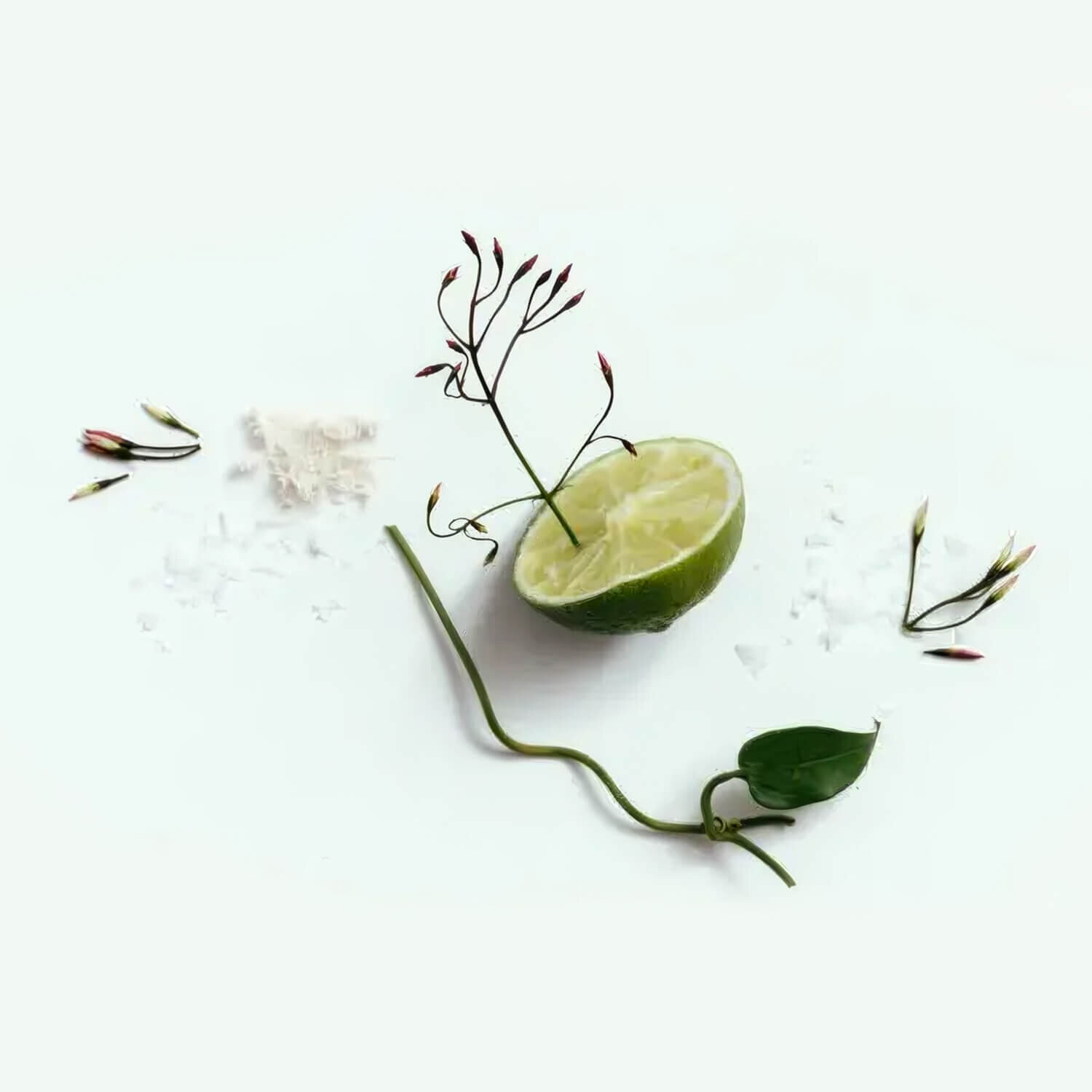 Натуральный дезодорант Corpus Natural Deodorant California
