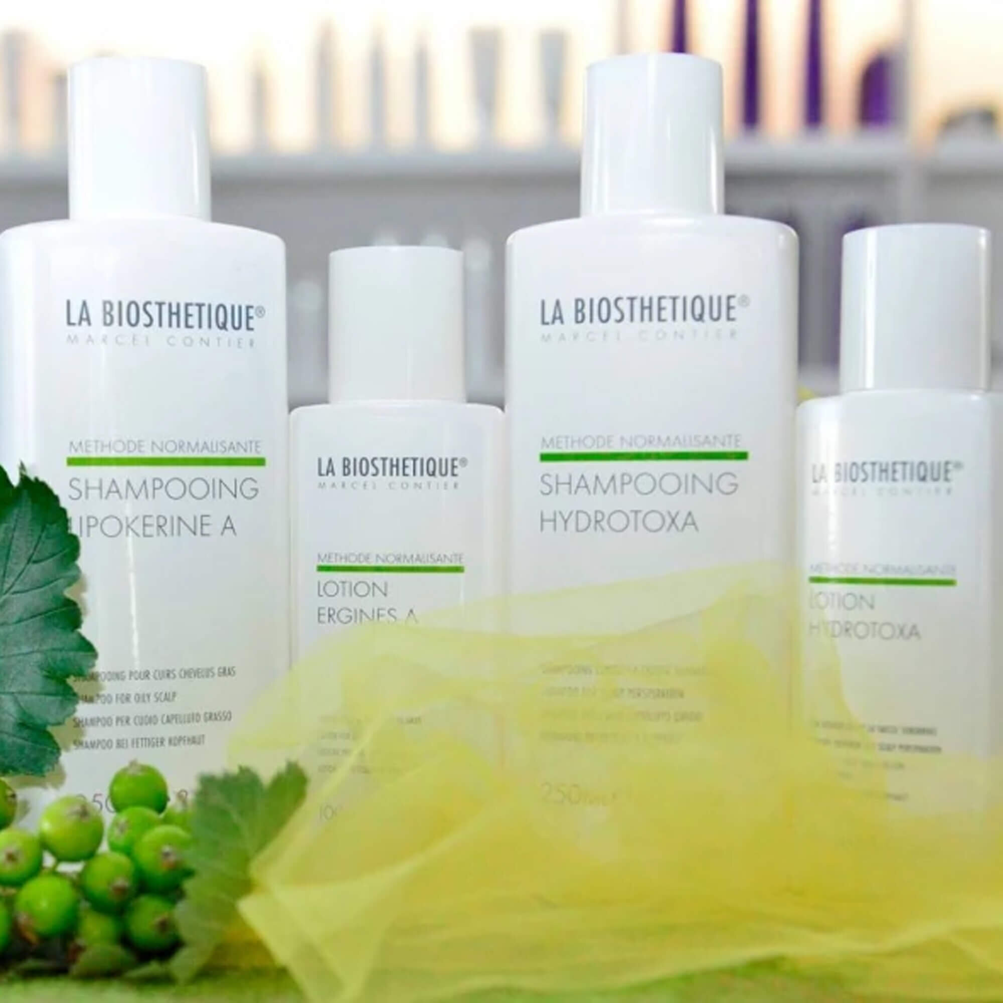 Шампунь для кожи головы с повышенным потоотделением La Biosthetique Hydrotoxa Shampoo