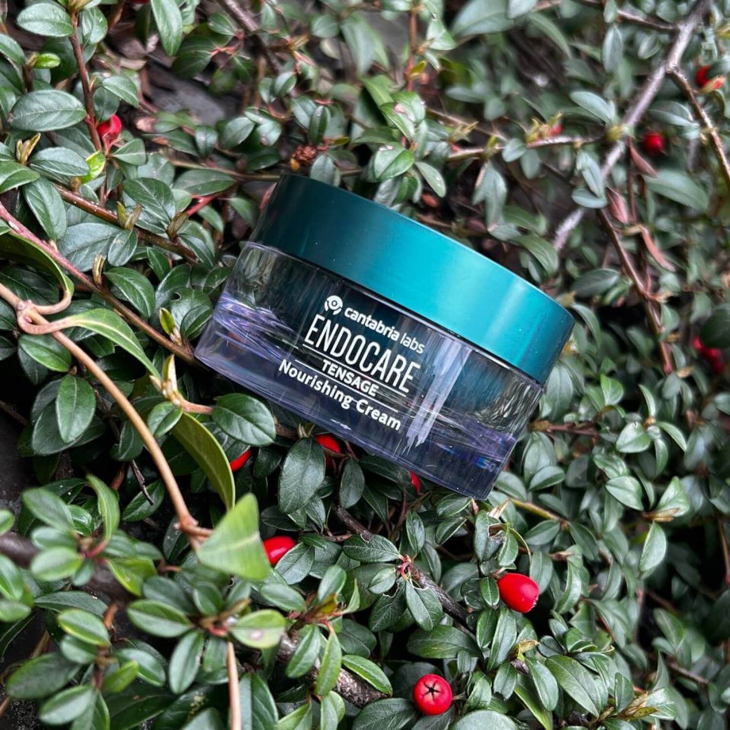 Регенеруючий крем з ефектом ліфтингу Cantabria Labs Endocare Tensage Cream