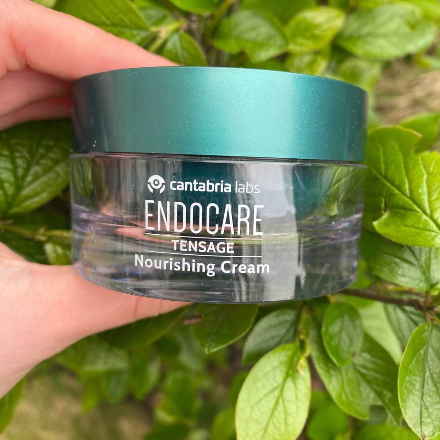 Регенеруючий крем з ефектом ліфтингу Cantabria Labs Endocare Tensage Cream