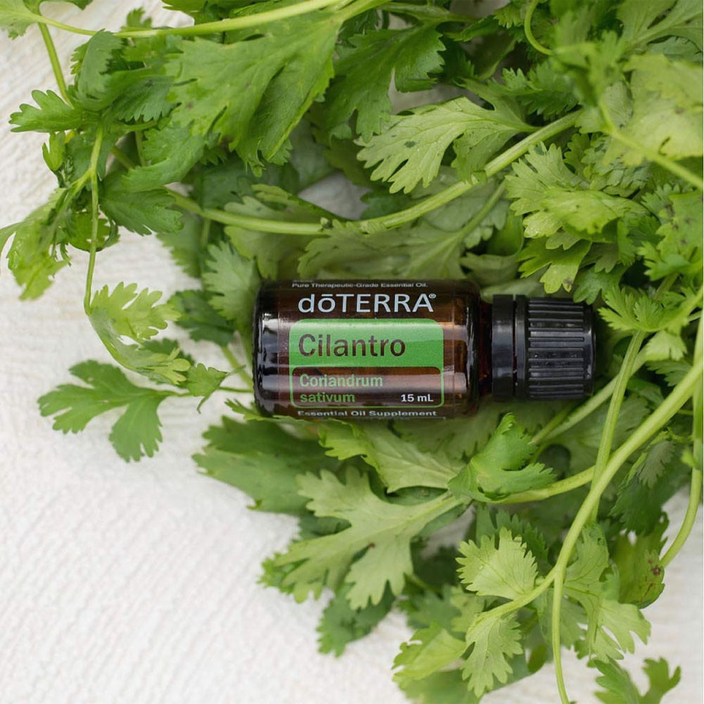 Ефірне масло DoTERRA Cilantro