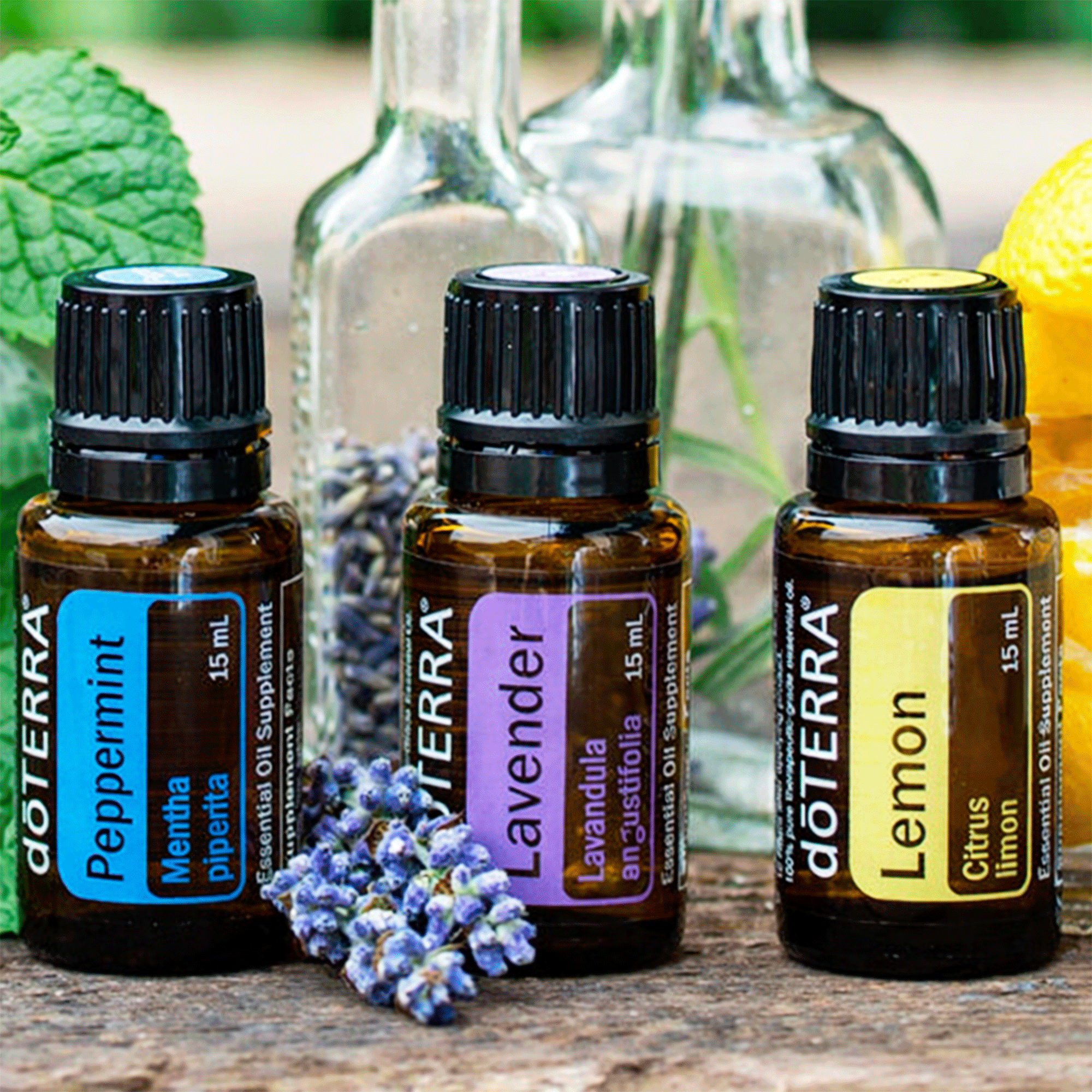 Набор №2 Новичок  DoTERRA New Kit