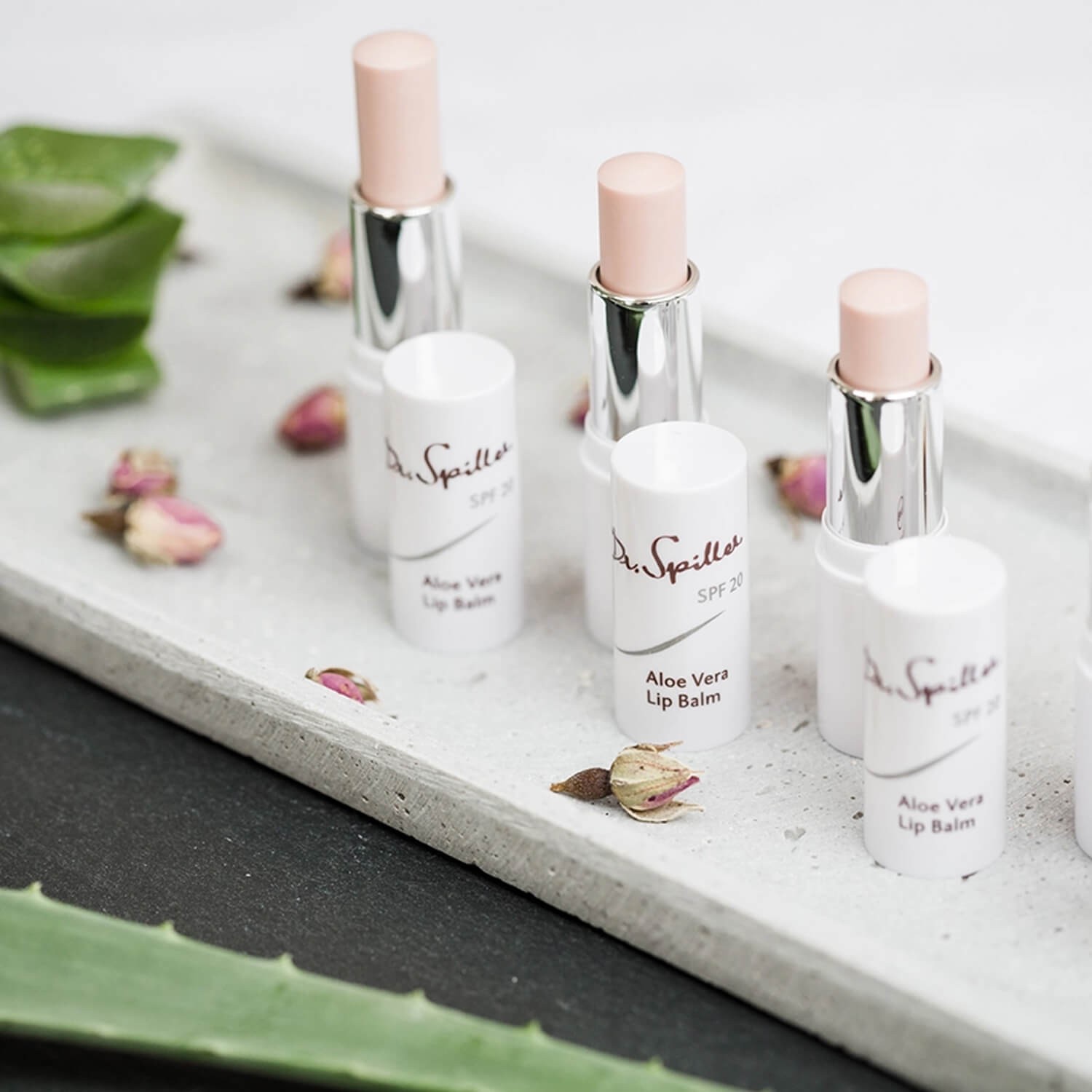 Бальзам для губ з екстрактом алое вера Dr.Spiller Aloe Vera Lip Balm