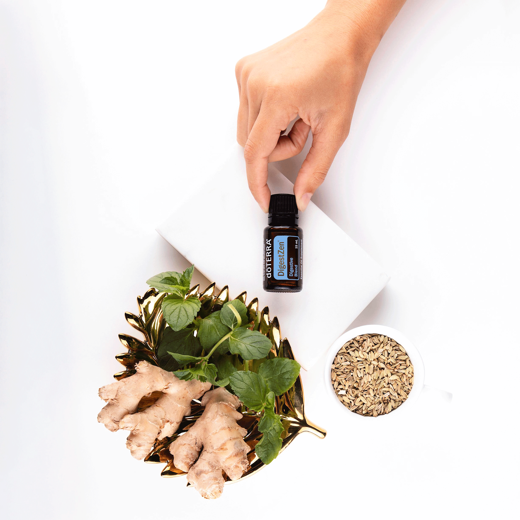 Набір №9 Травлення DoTERRA Digestion Kit