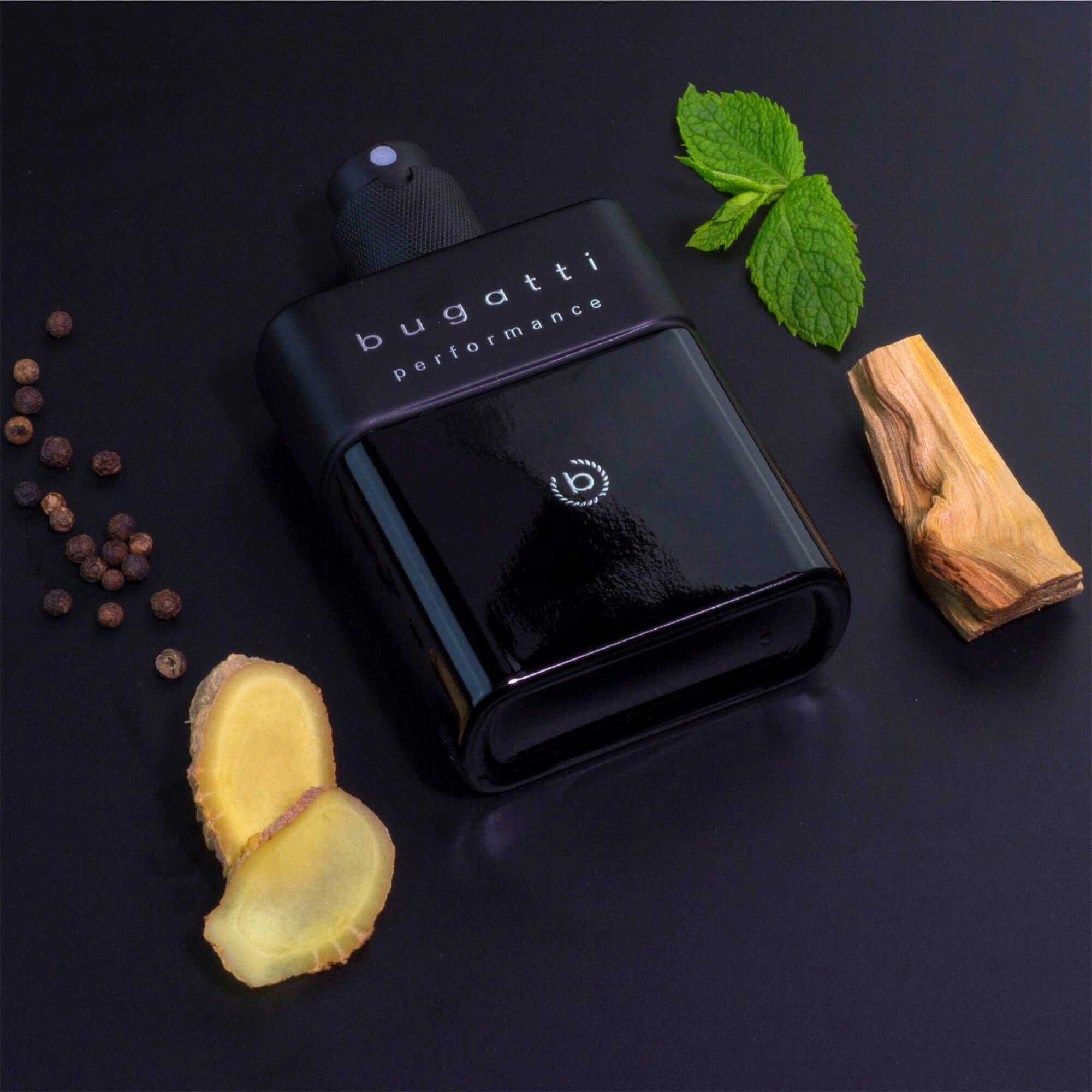 Парфумована вода для чоловіків Bugatti Performance Intense Black