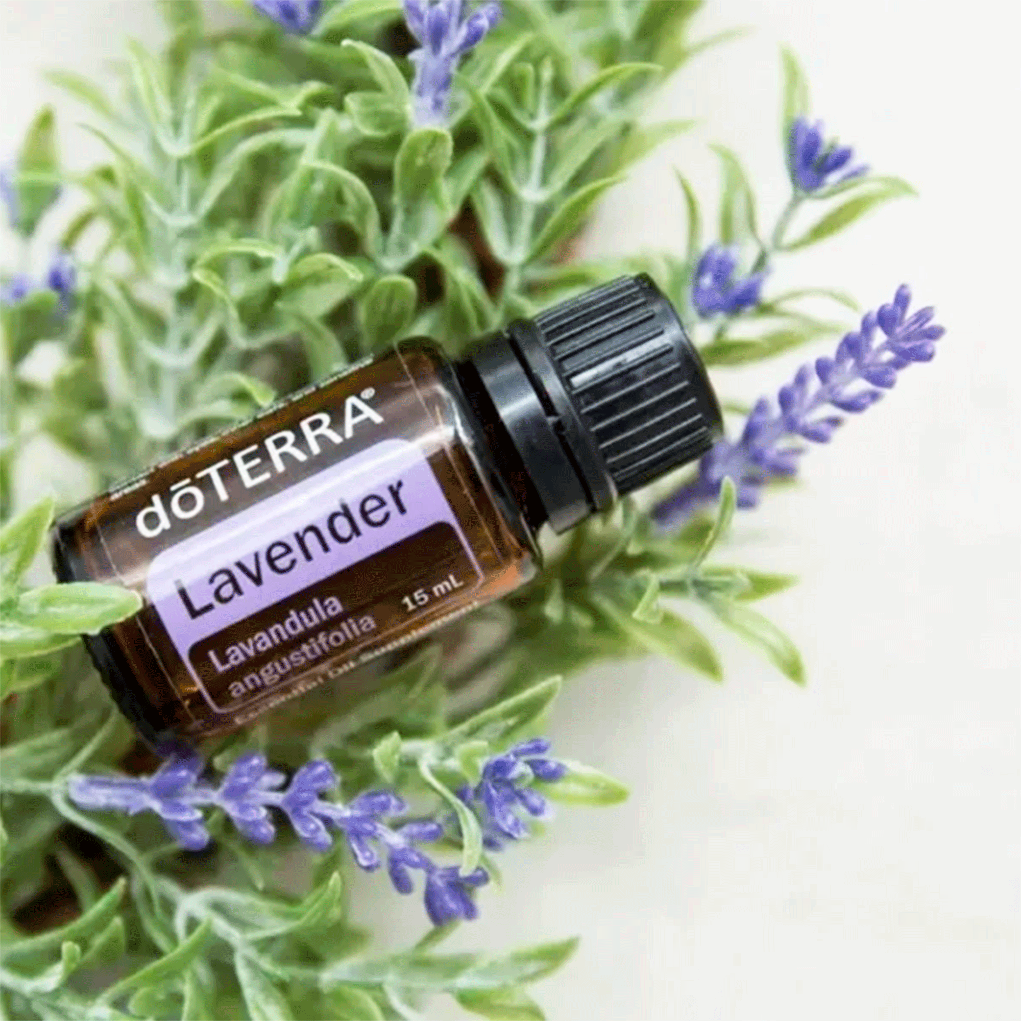 Набір №13 Розслаблення DoTERRA Relaxation Kit