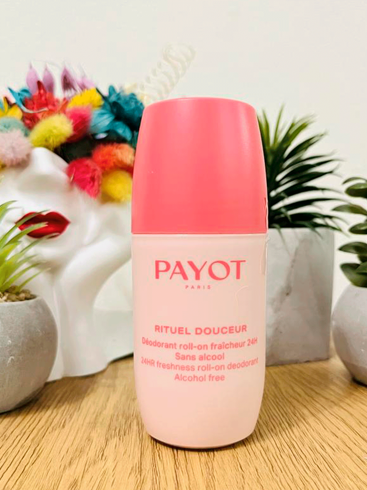  Payot 
