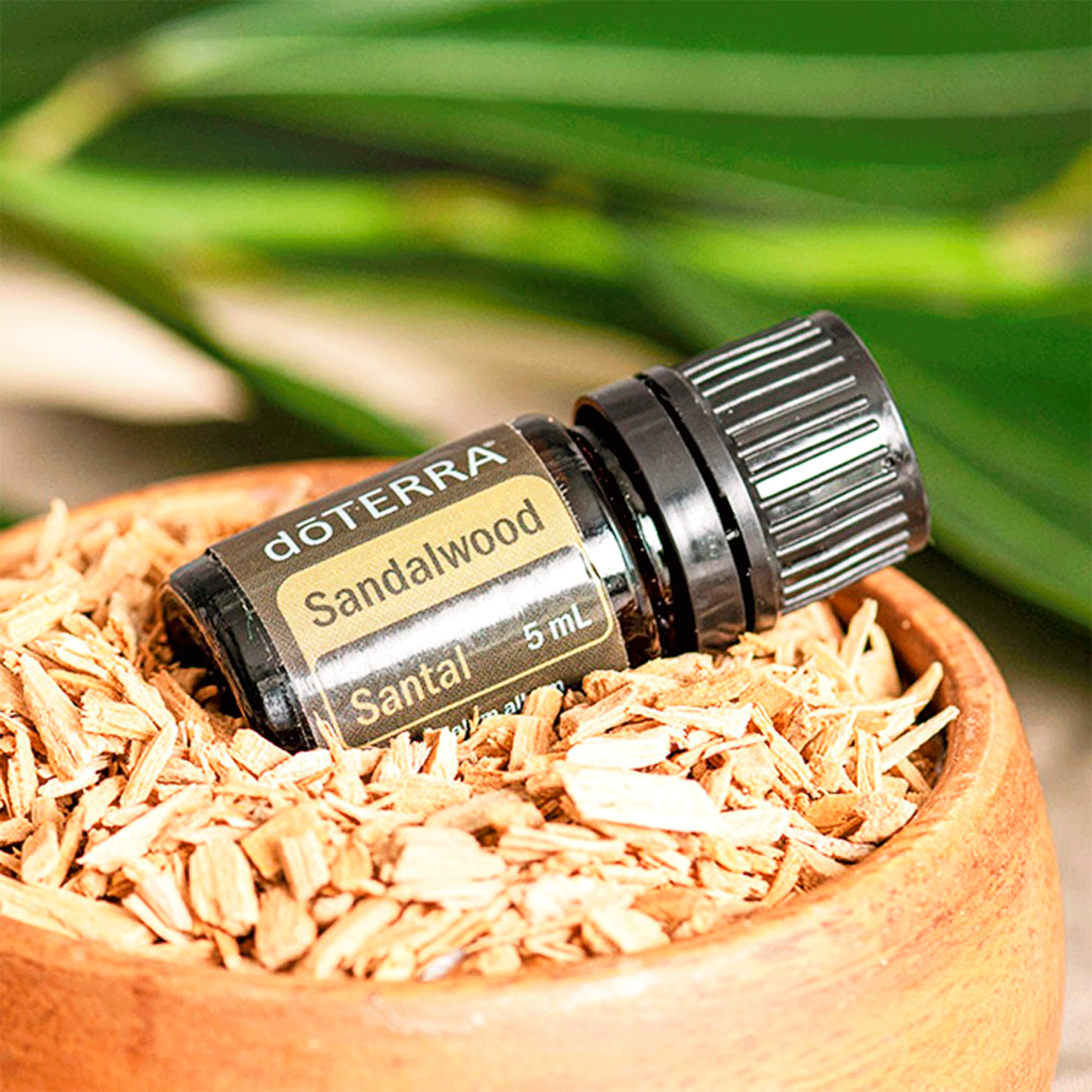 Набір №14 Спокій DoTERRA Calm Kit