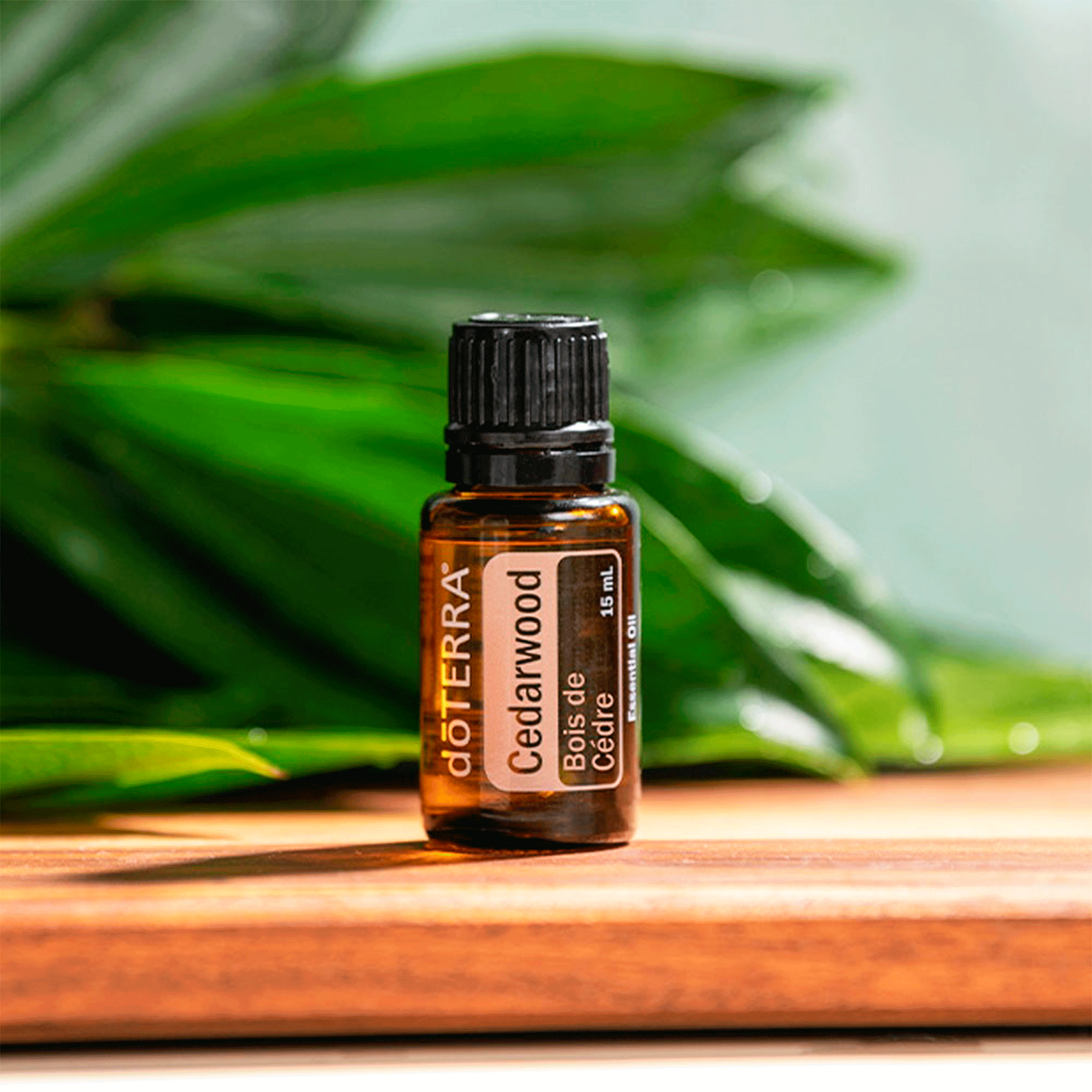 Набір №14 Спокій DoTERRA Calm Kit