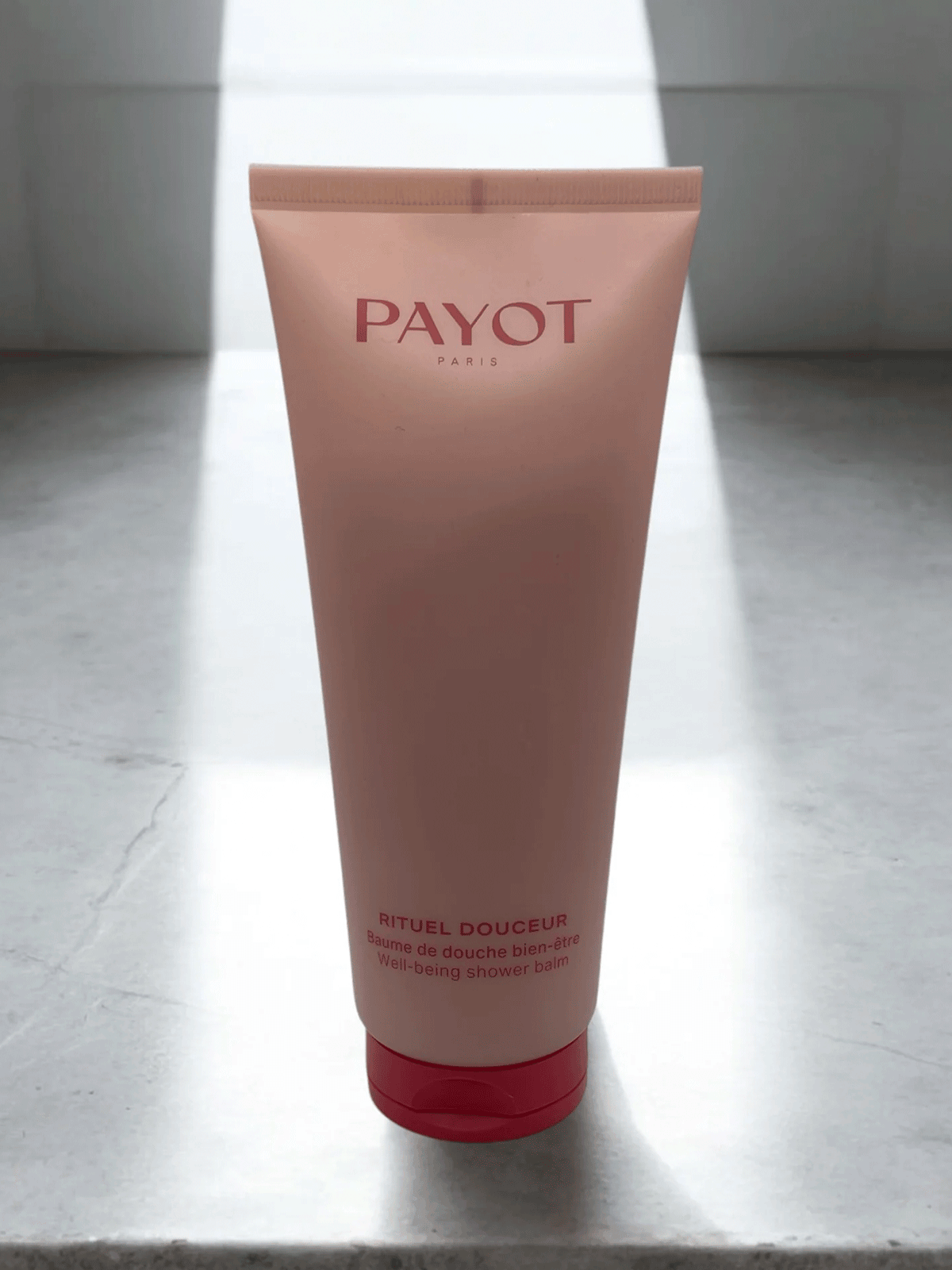  Payot 