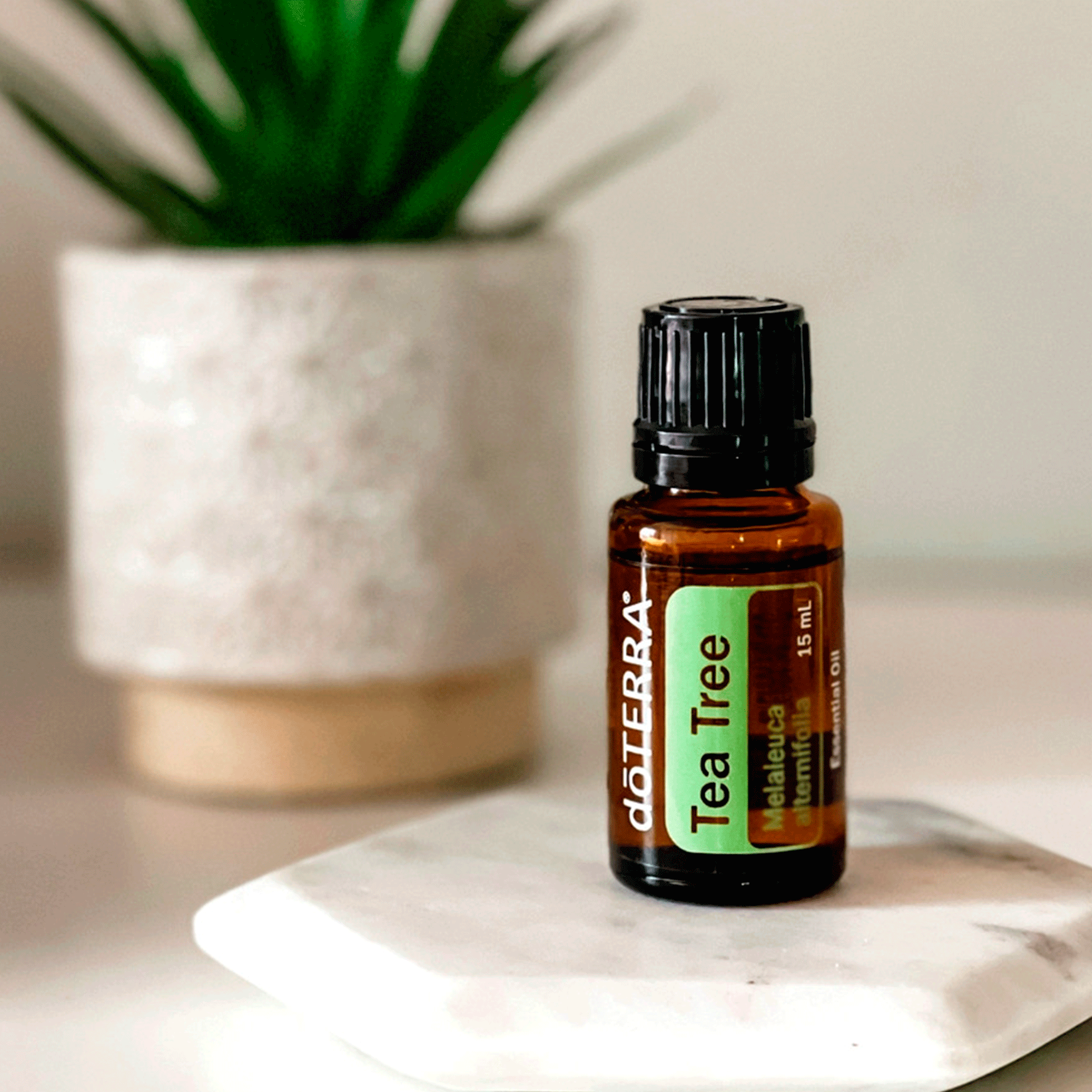 Набір №19 Антисептичний DoTERRA Antiseptic Kit