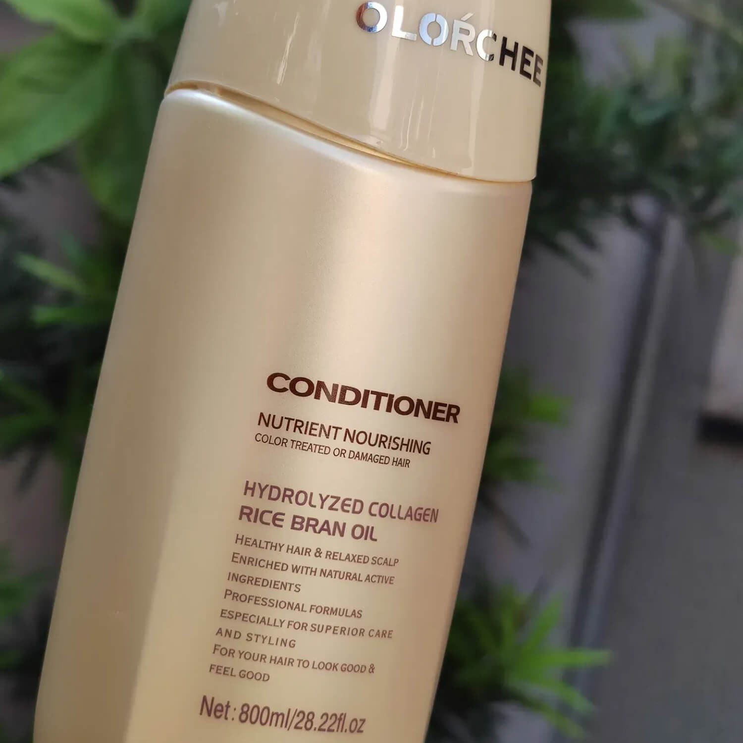 Olorchee Nutrient Nourishing Conditioner купить