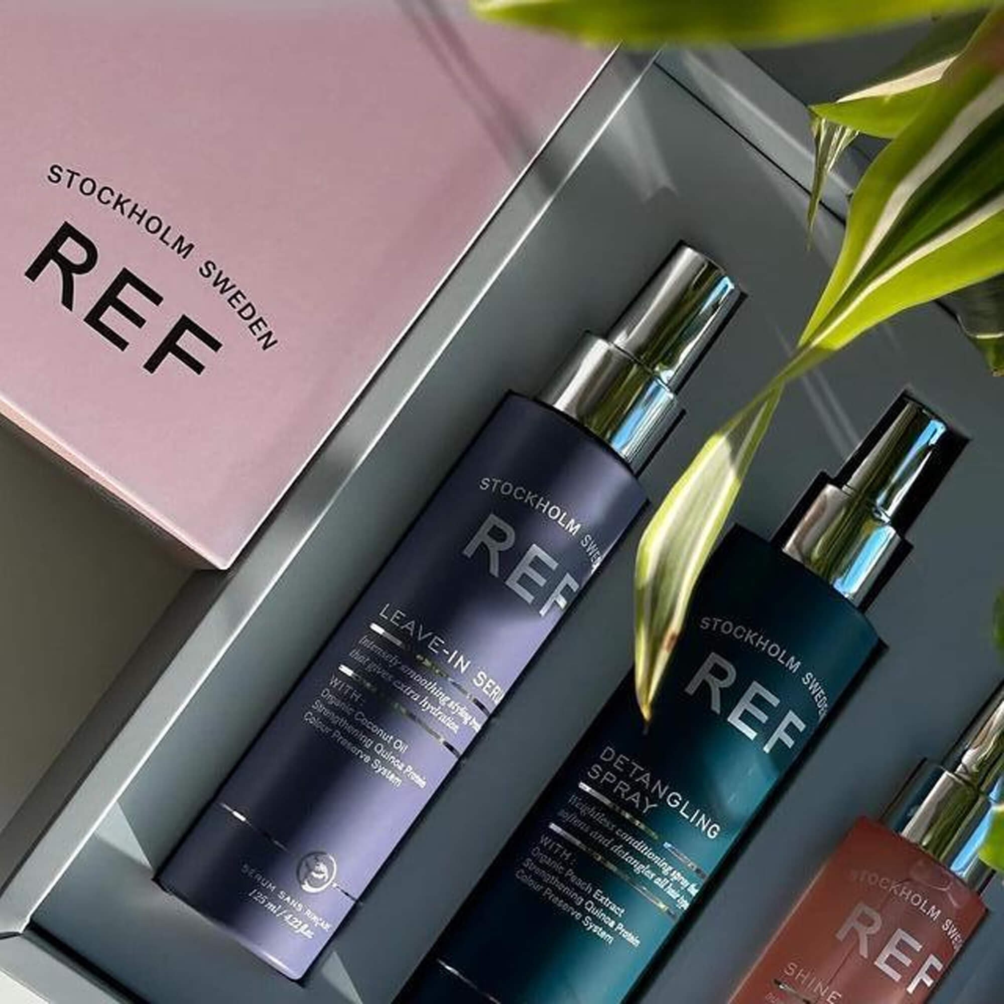 REF Intro Box Signature Collection заказать