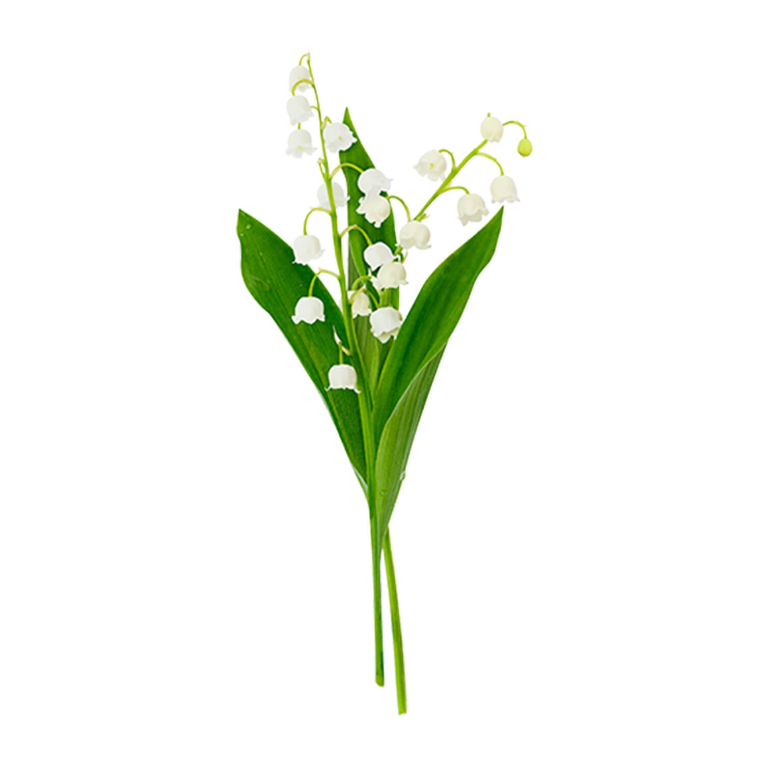 Парфюмерная вода для женщин Storie Veneziane Just Bloom