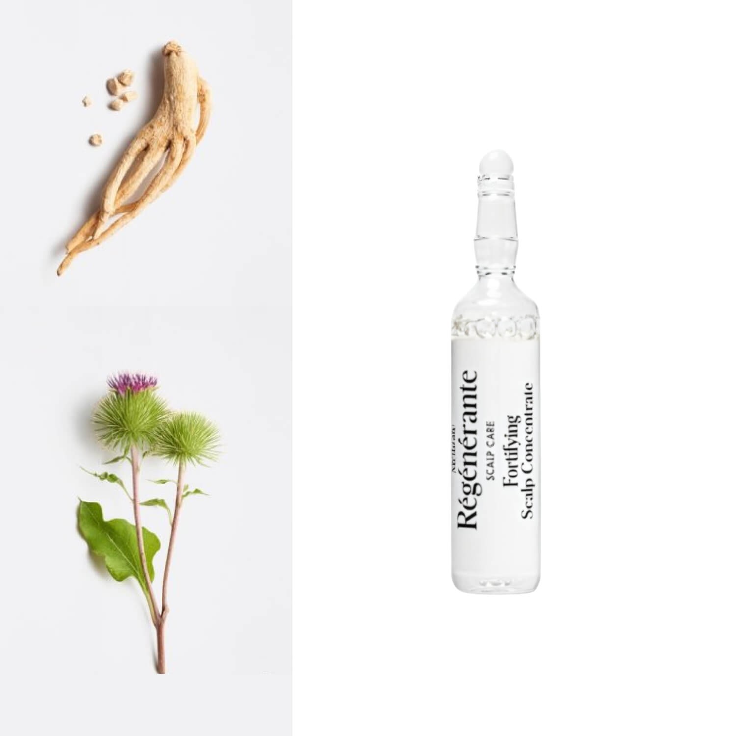 Зміцнюючий концентрат для шкіри голови La Biosthetique Fortifying Scalp Concentrate 