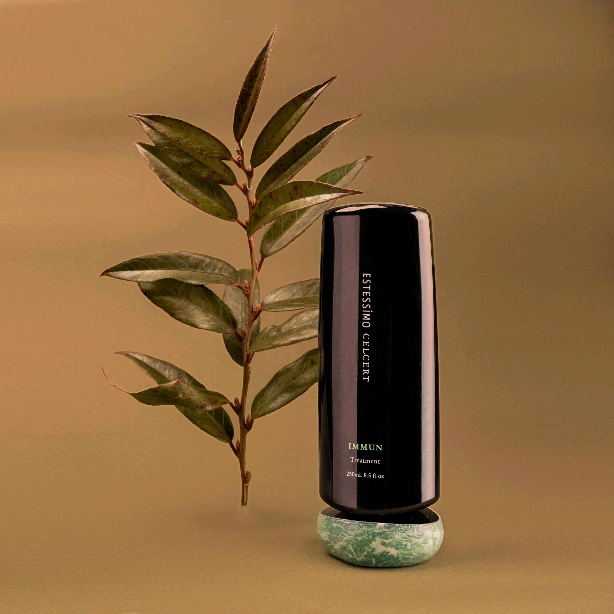 Восстанавливающая маска для волос Lebel Estessimo Celcert Immun Treatment