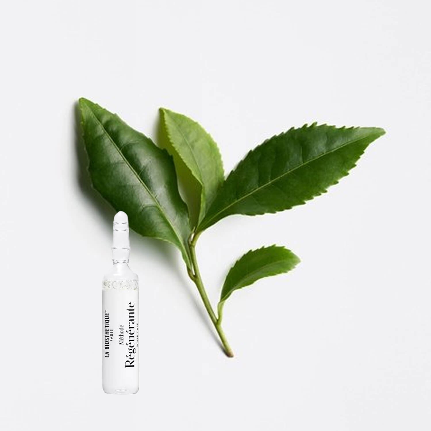 Концентрат для шкіри голови проти випадання волосся La Biosthetique Hairloss Con.Scalp Concentrate 