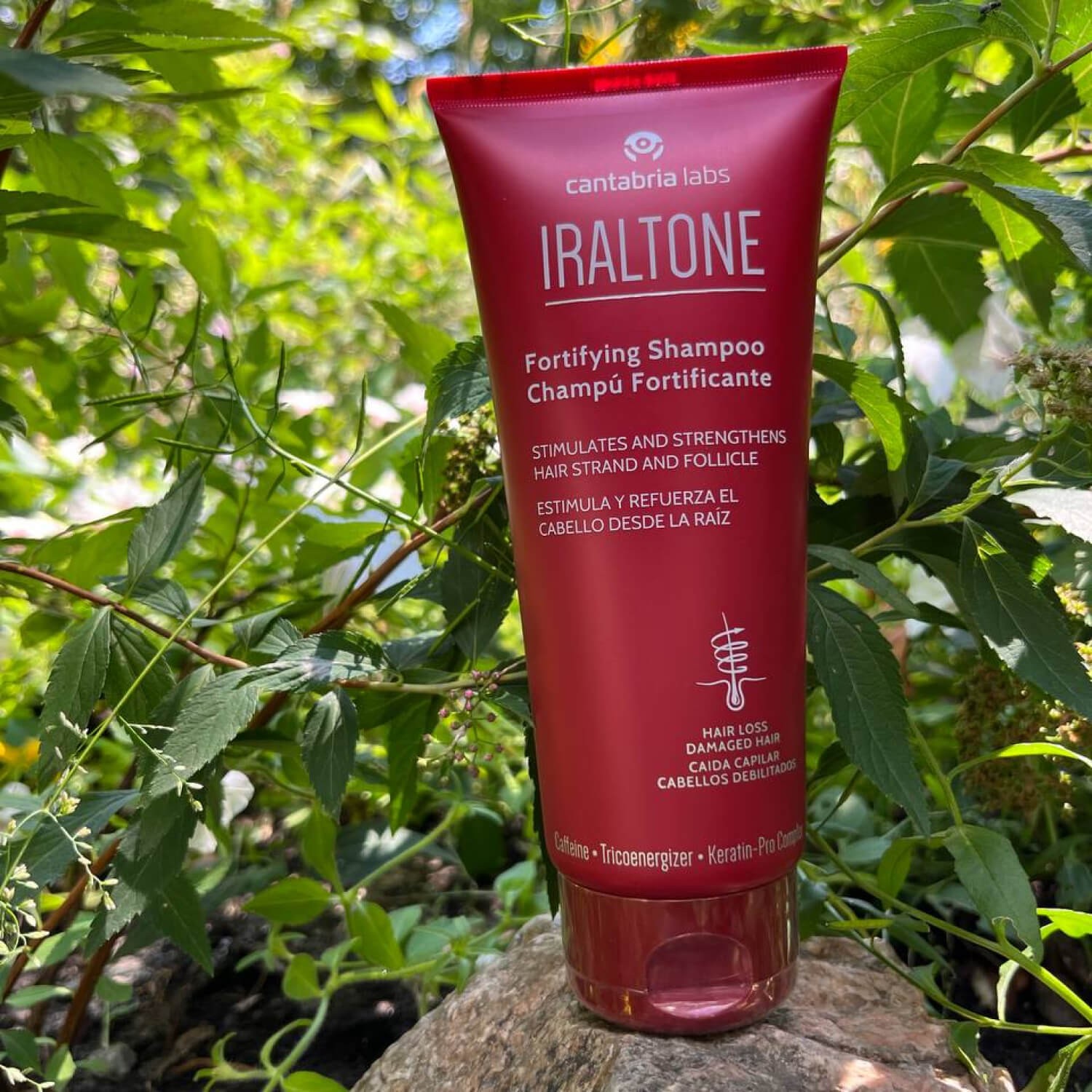 Шампунь від випадіння та для пошкодженого волосся Cantabria Labs Iraltone Fortifying Shampoo
