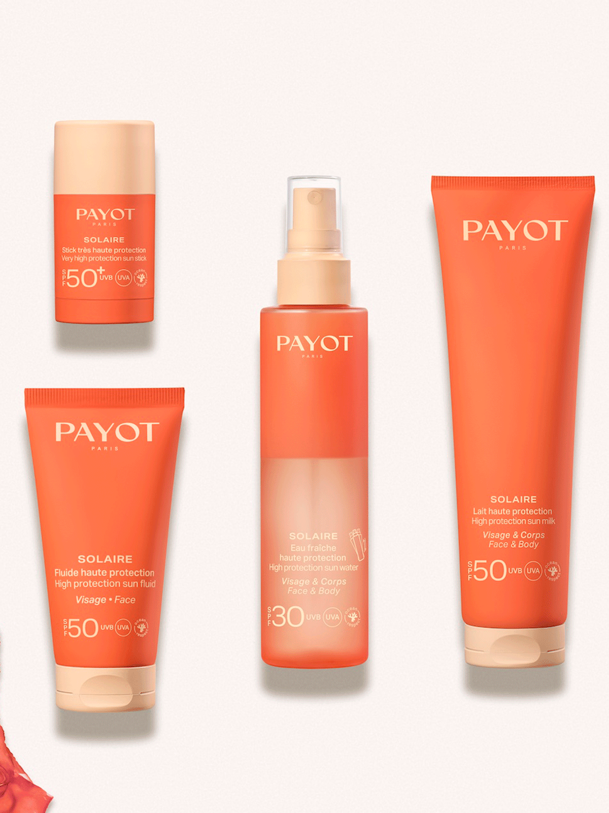  Payot 