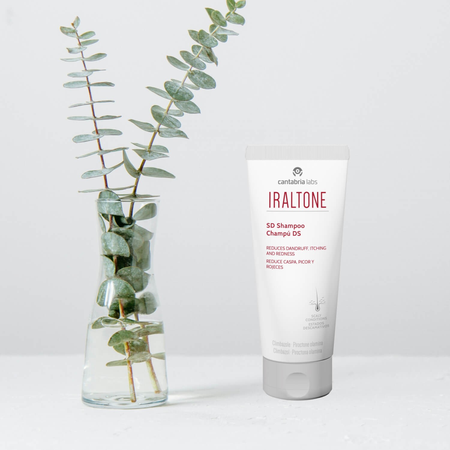 Шампунь проти лупи та себореї Cantabria Labs Iraltone Shampoo DS 