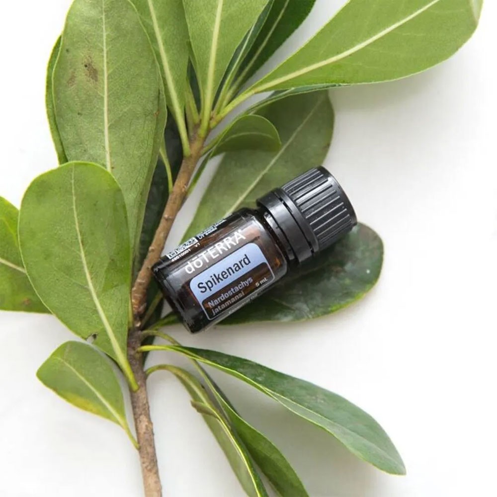Эфирное масло Нарда DoTERRA Spikenard