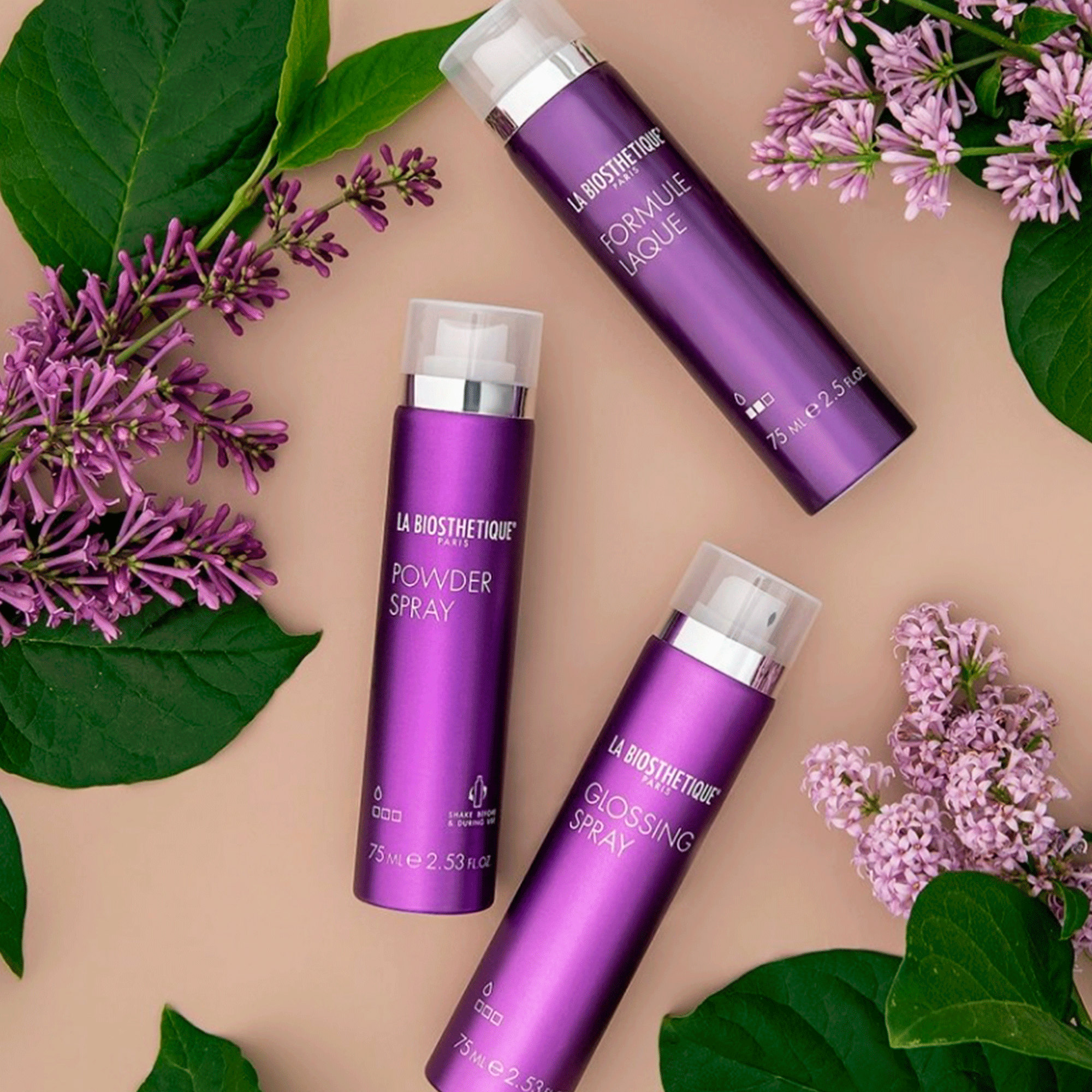 Спрей-пудра для швидкого створення об'єму La Biosthetique Powder Spray