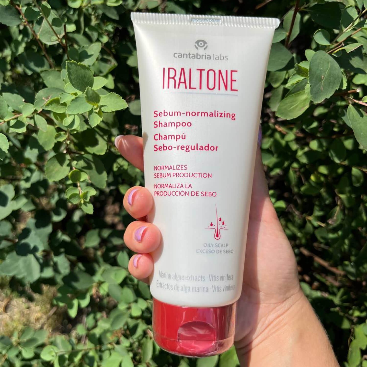 Шампунь для жирної шкіри голови  Cantabria Labs Iraltone Sebum-normalizing Shampoo
