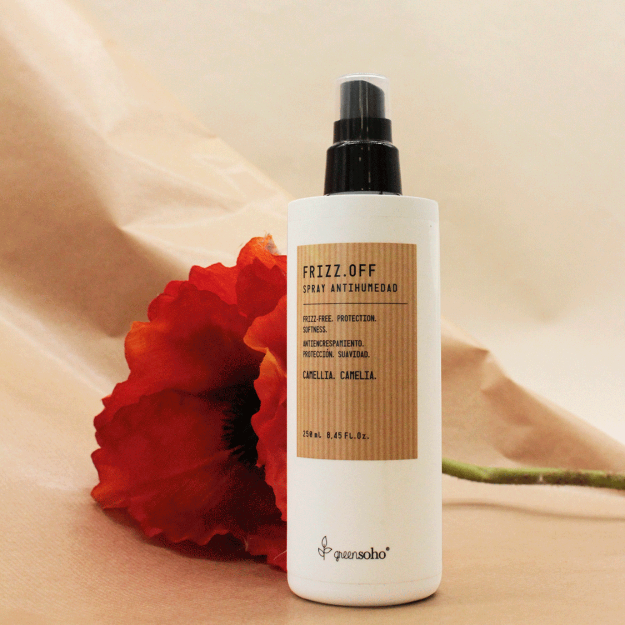 Спрей для защиты от влаги Greensoho Frizz.Off