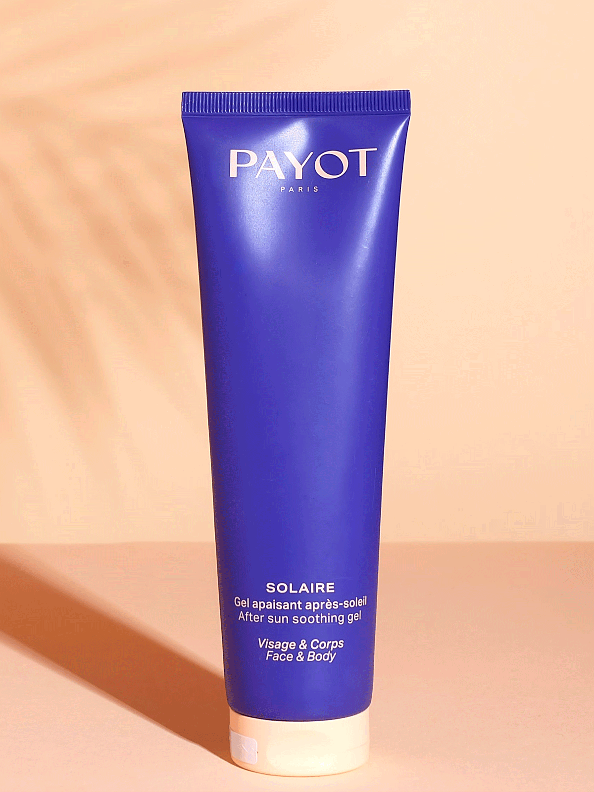  Payot 